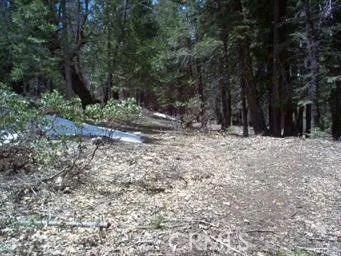 7497 Henness Circle Yosemite, CA 95389