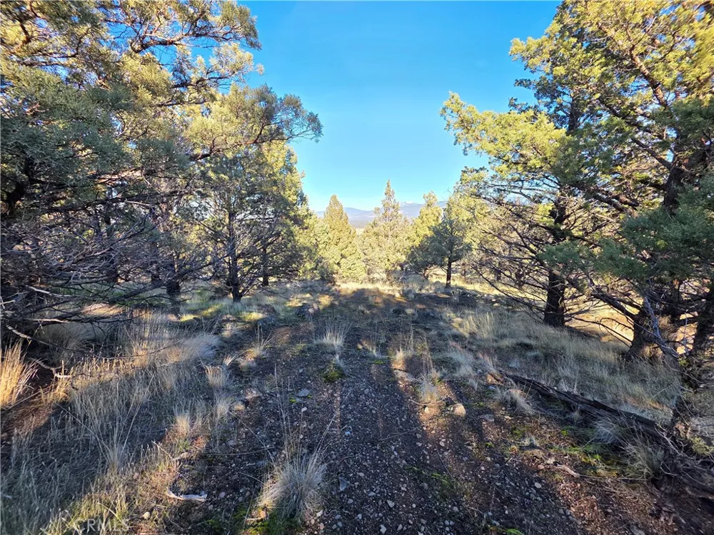 25 Quail Ridge Weed, CA 96094