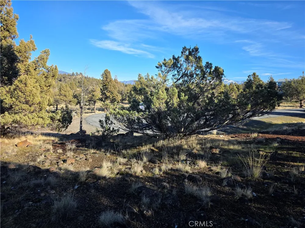 25 Quail Ridge Weed, CA 96094