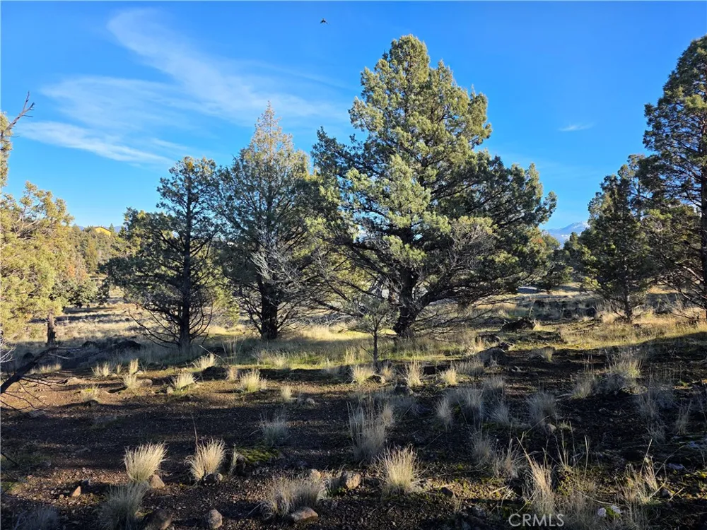 25 Quail Ridge Weed, CA 96094