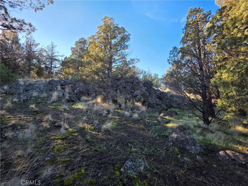 25 Quail Ridge Weed, CA 96094