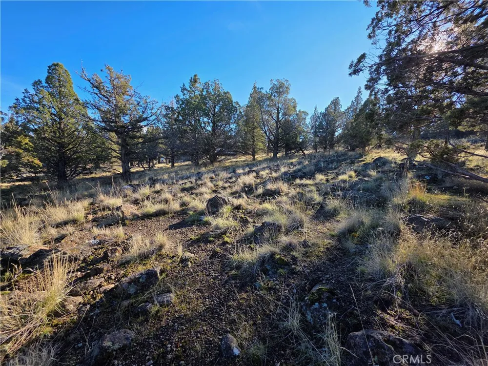 25 Quail Ridge Weed, CA 96094
