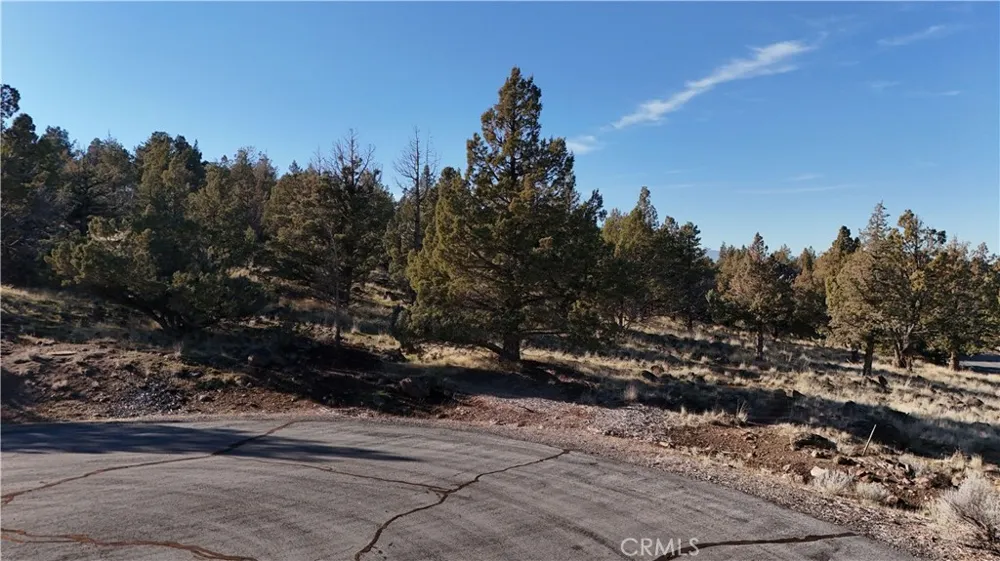 25 Quail Ridge Weed, CA 96094