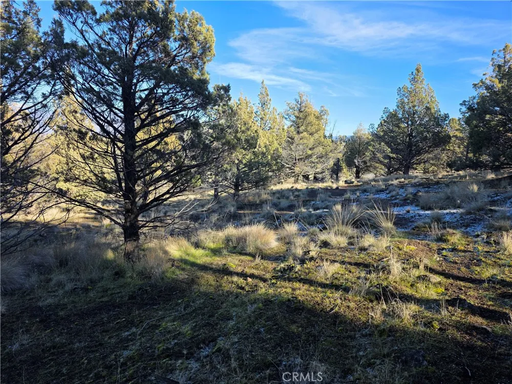 25 Quail Ridge Weed, CA 96094