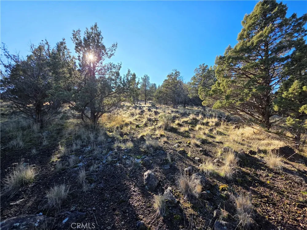 25 Quail Ridge Weed, CA 96094