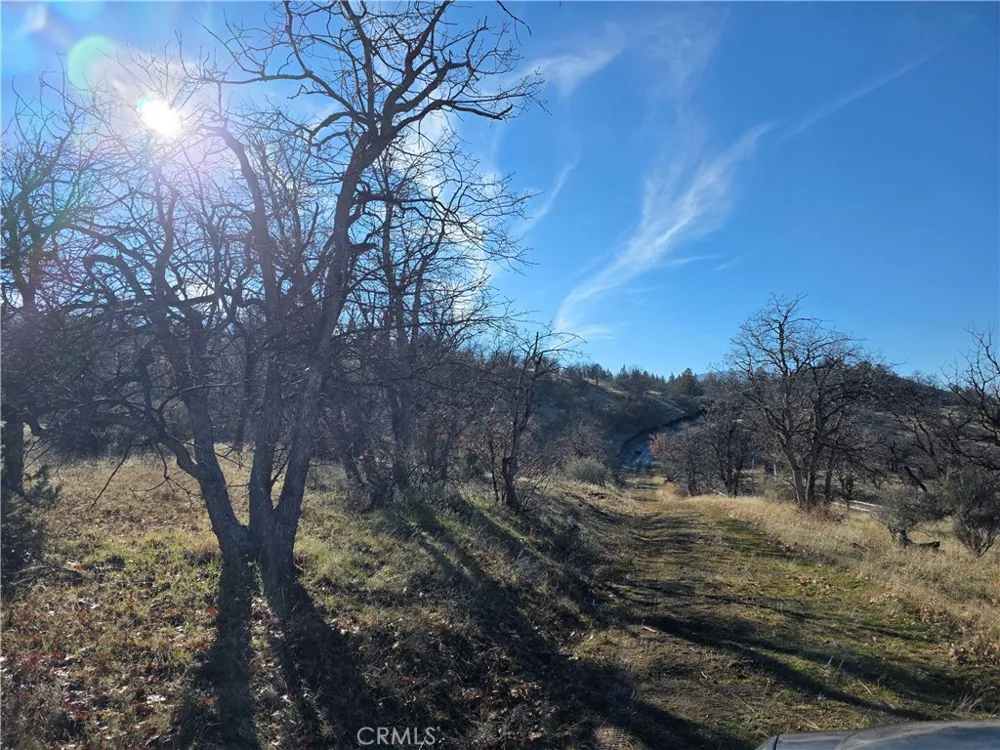 441 Sea Horse Lane Montague, CA 96064