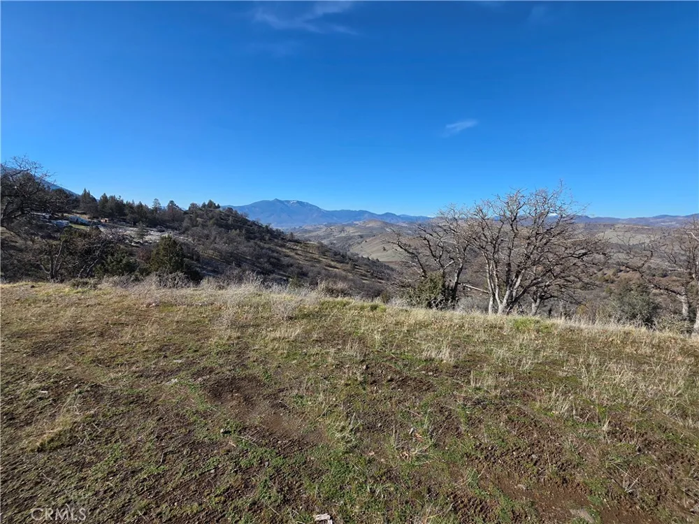 441 Sea Horse Lane Montague, CA 96064