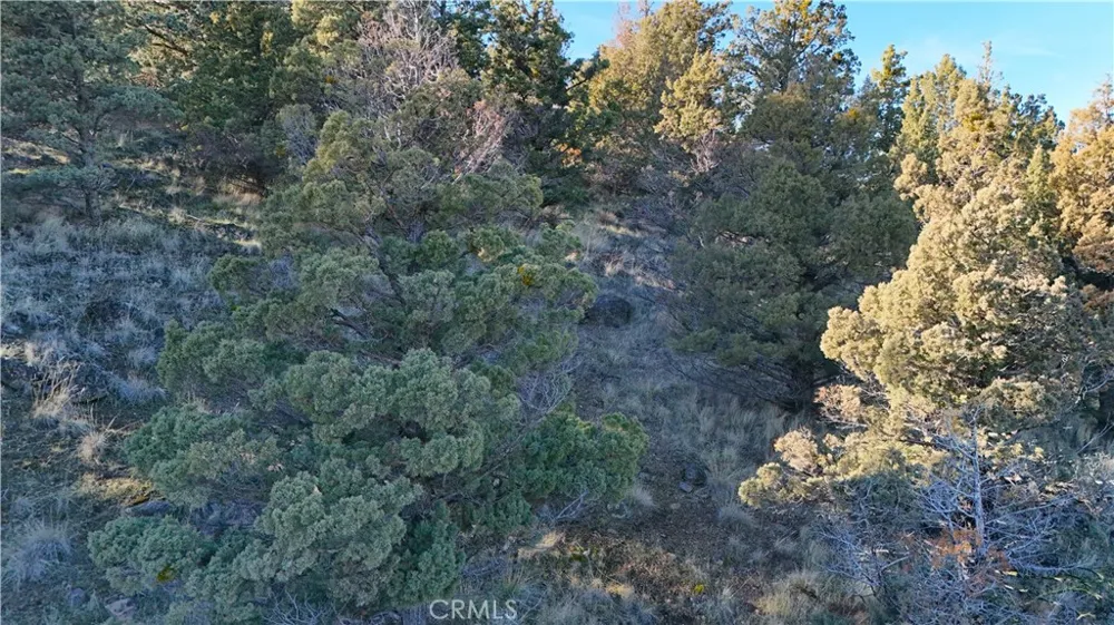 44 Dwinell Drive Weed, CA 96094