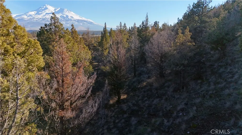 44 Dwinell Drive Weed, CA 96094