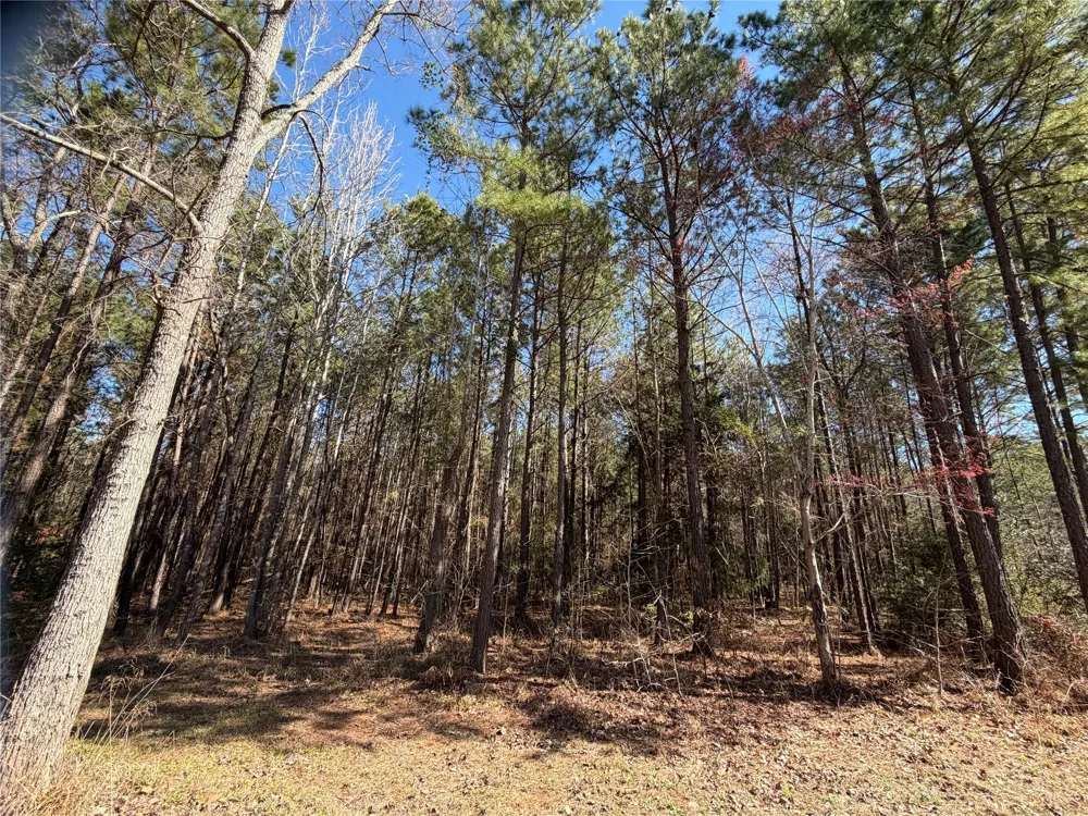 805 County Road 3210 Jacksonville, TX 75766