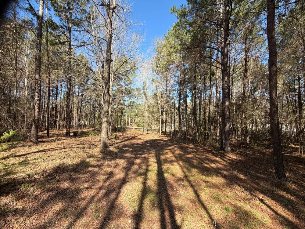 805 County Road 3210 Jacksonville, TX 75766