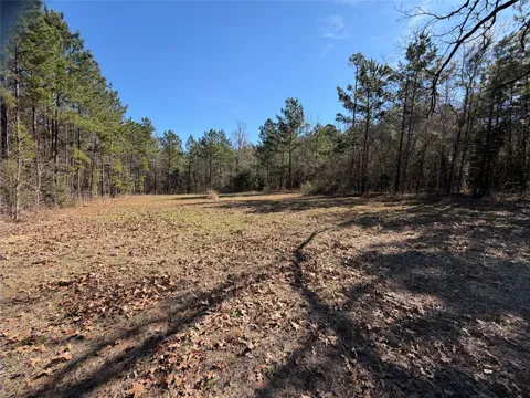 805 County Road 3210