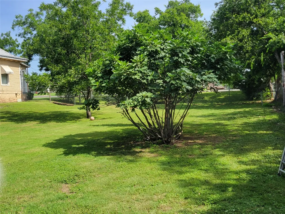 706 W Wrights Avenue Comanche, TX 76442