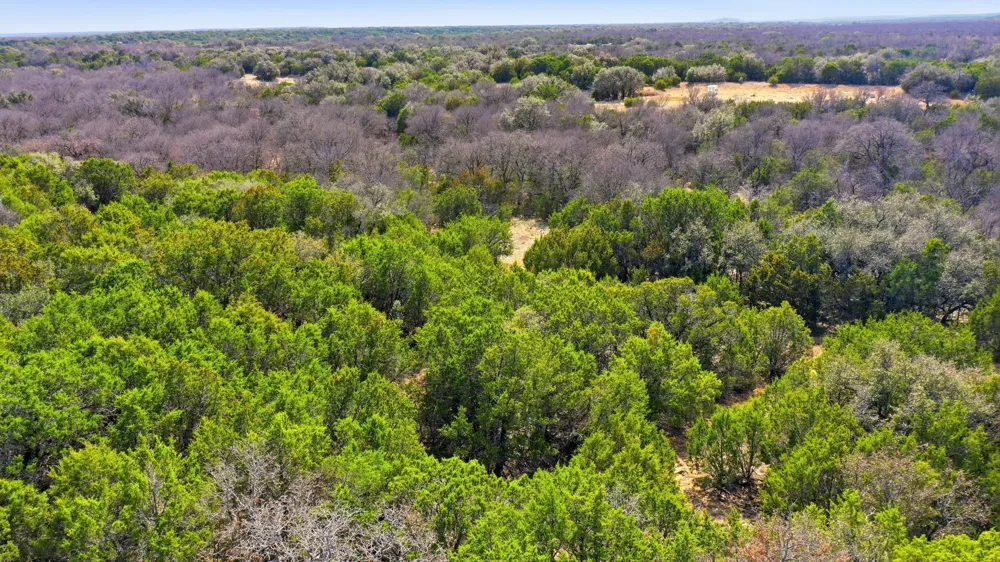 313 Hill Branch Lane Breckenridge, TX 76424
