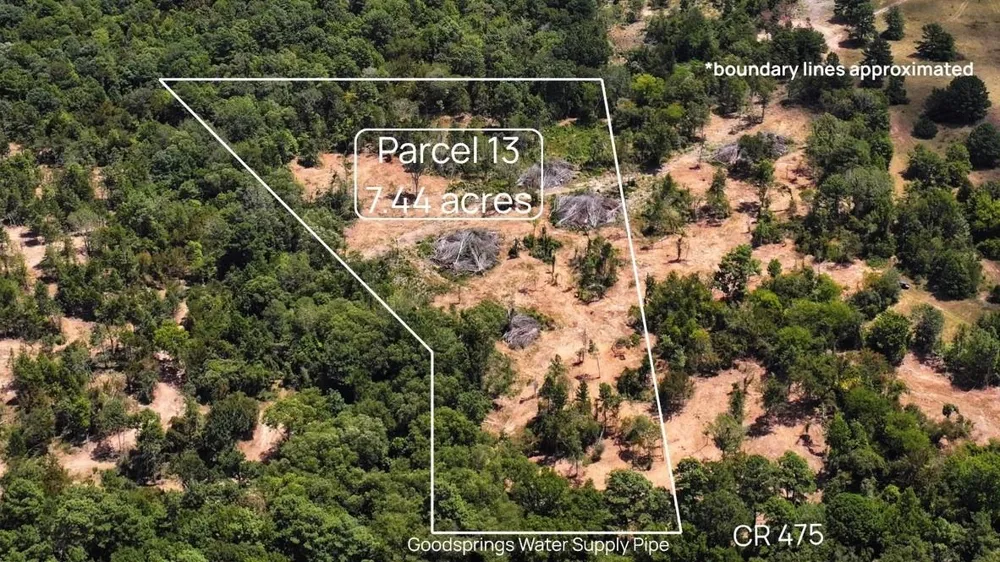 13 County Road 475a Henderson, TX 75654