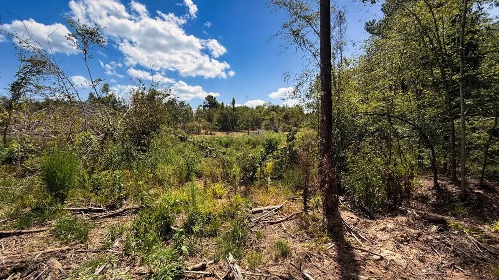 13 County Road 475a Henderson, TX 75654