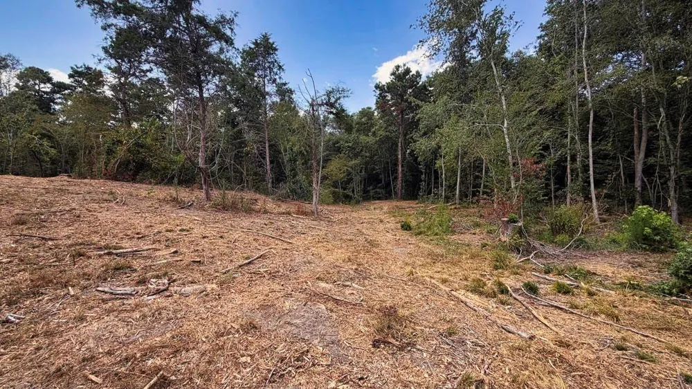 13 County Road 475a Henderson, TX 75654