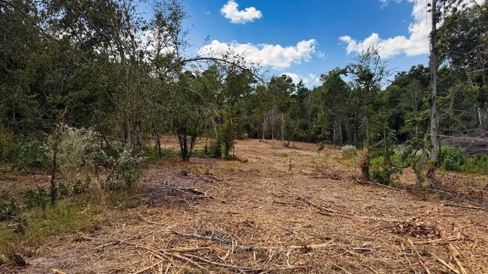 13 County Road 475a Henderson, TX 75654