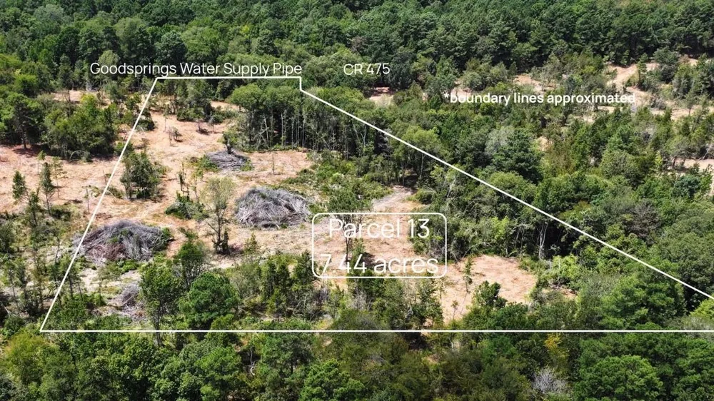 13 County Road 475a Henderson, TX 75654