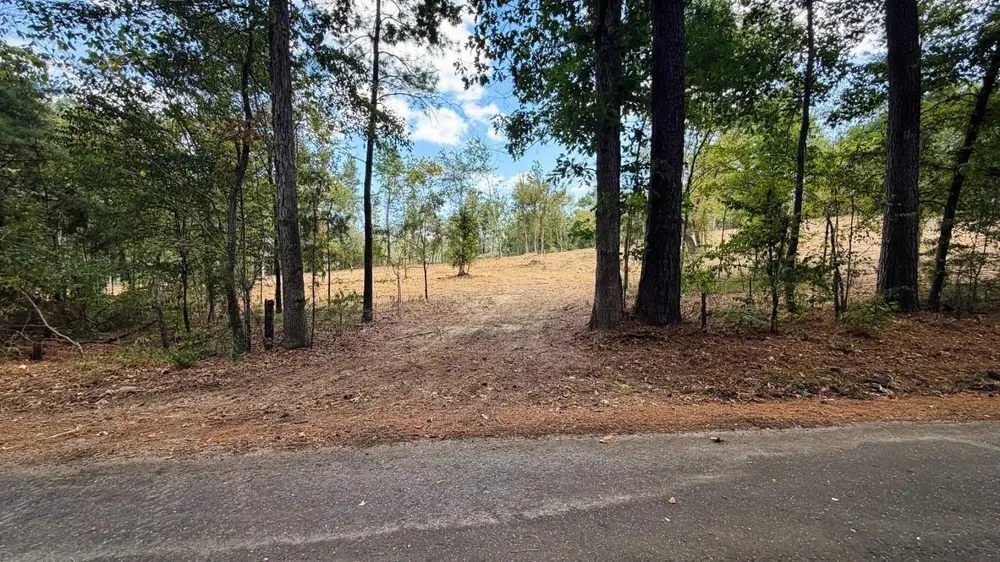 13 County Road 475a Henderson, TX 75654