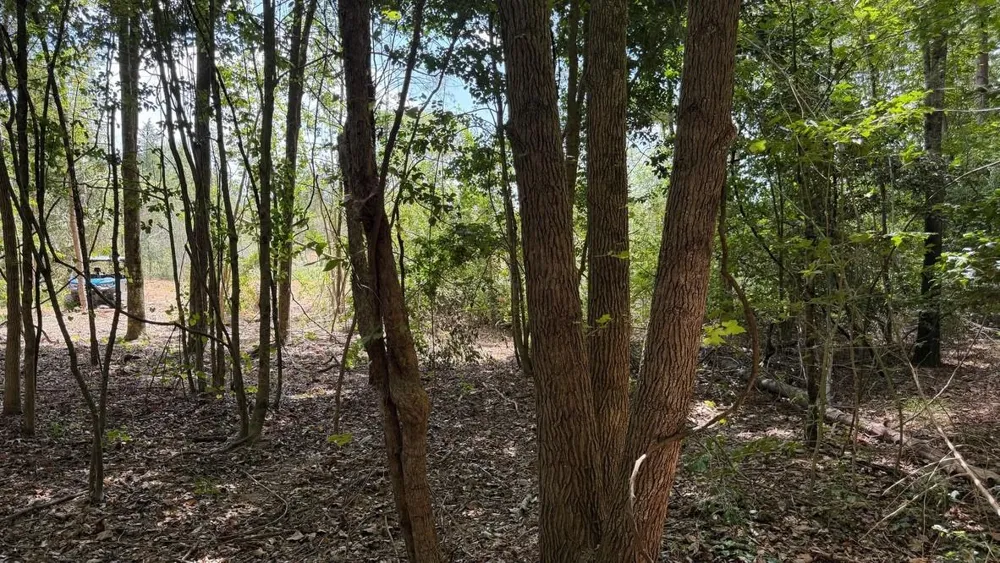 13 County Road 475a Henderson, TX 75654