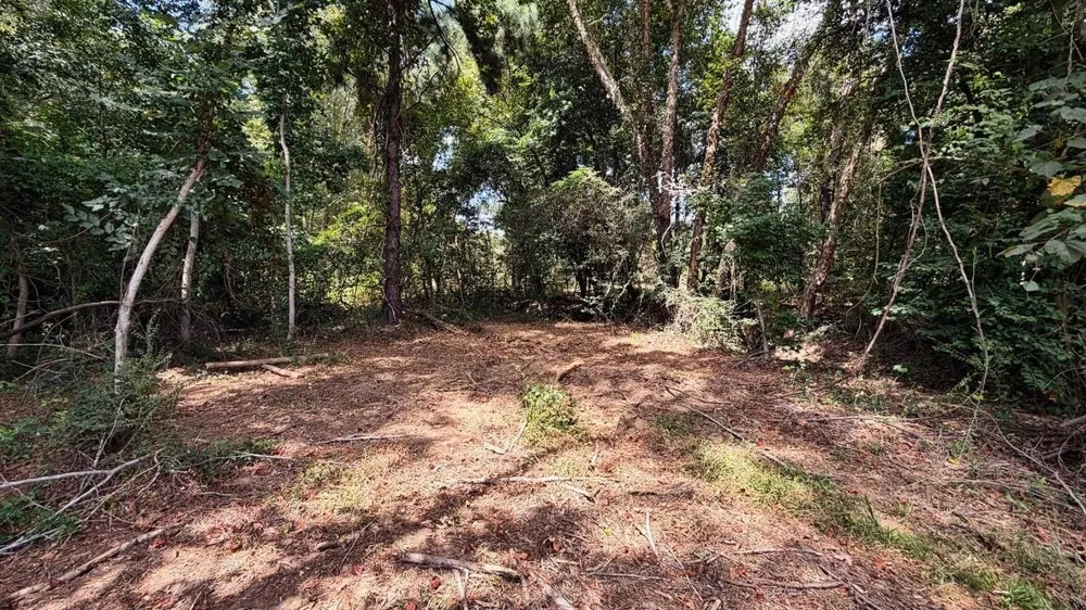 13 County Road 475a Henderson, TX 75654