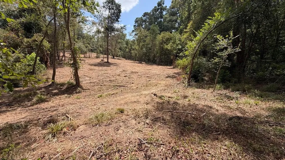 13 County Road 475a Henderson, TX 75654