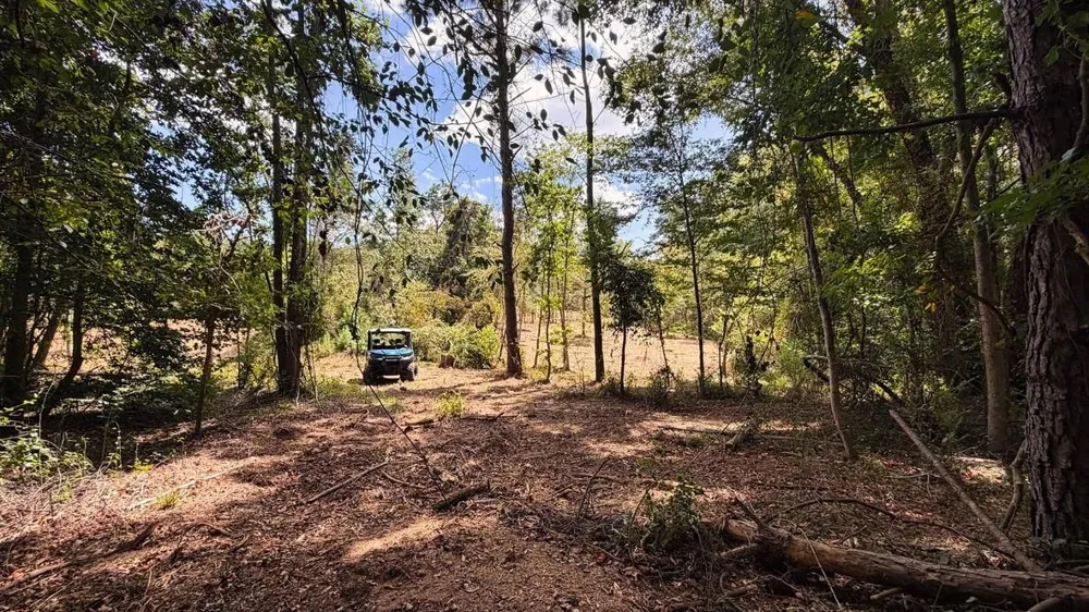 13 County Road 475a Henderson, TX 75654