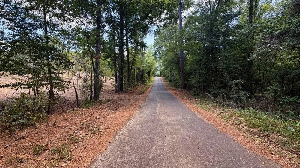 13 County Road 475a Henderson, TX 75654