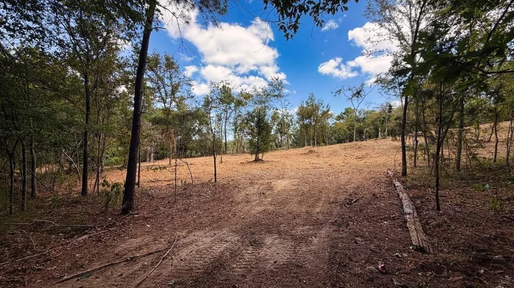 13 County Road 475a Henderson, TX 75654