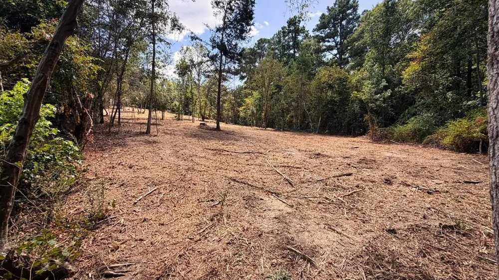 13 County Road 475a Henderson, TX 75654