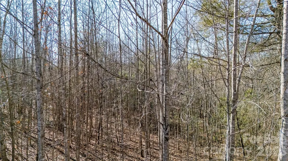 000 Eagles Nest Drive #8 Marion, NC 28752