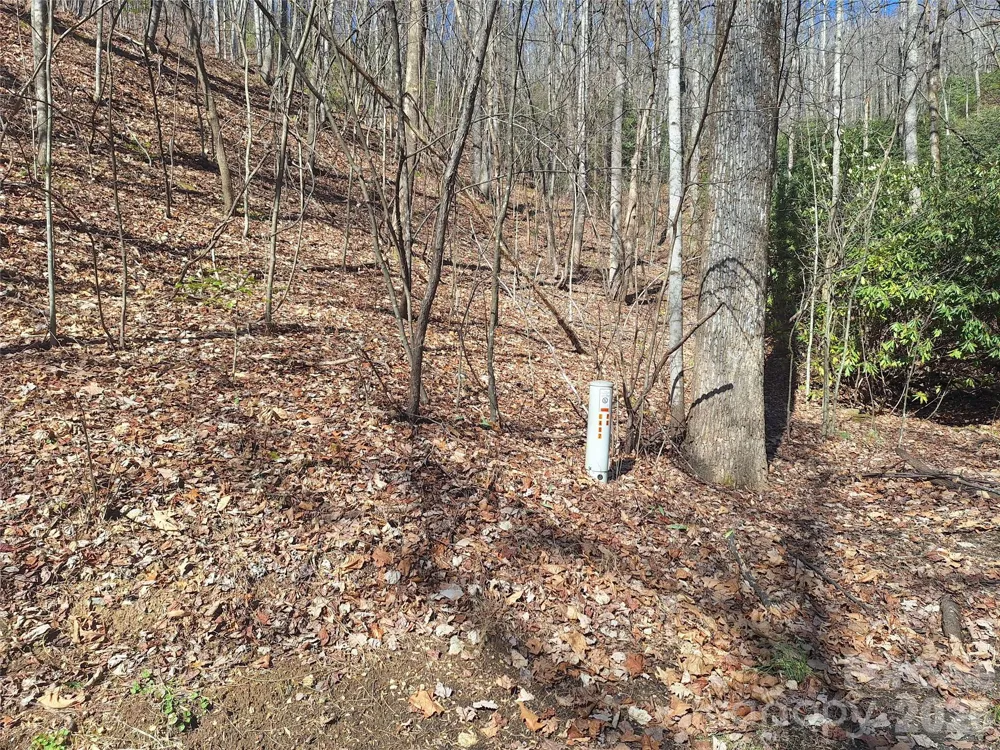 965 Wolf Pen Road Old Fort, NC 28762