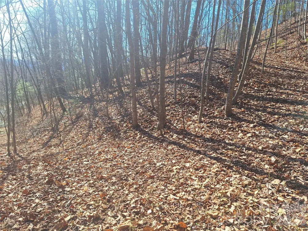965 Wolf Pen Road Old Fort, NC 28762