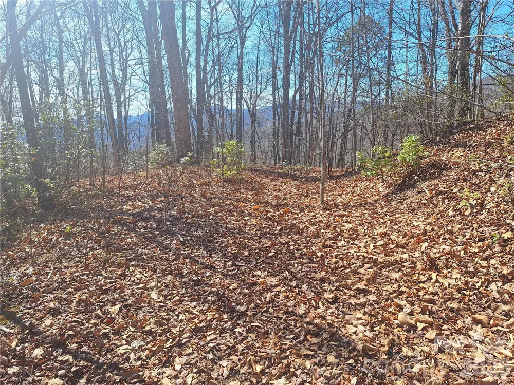 965 Wolf Pen Road Old Fort, NC 28762