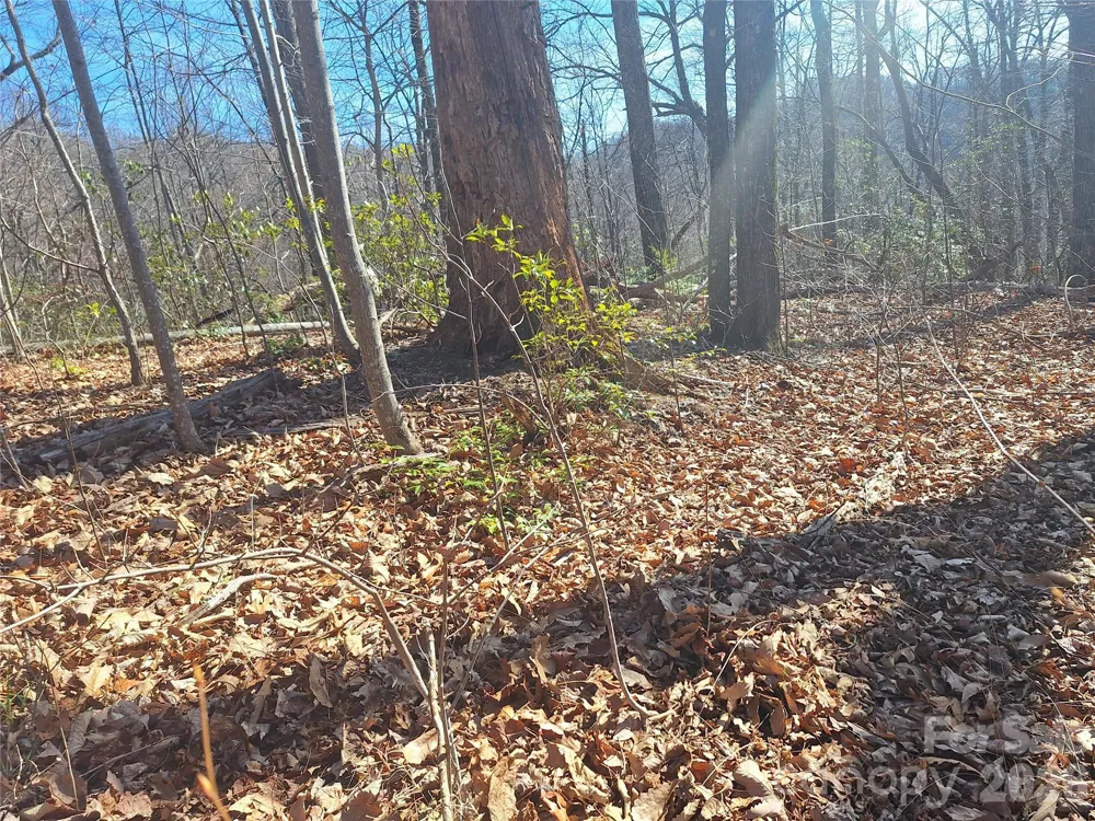 965 Wolf Pen Road Old Fort, NC 28762