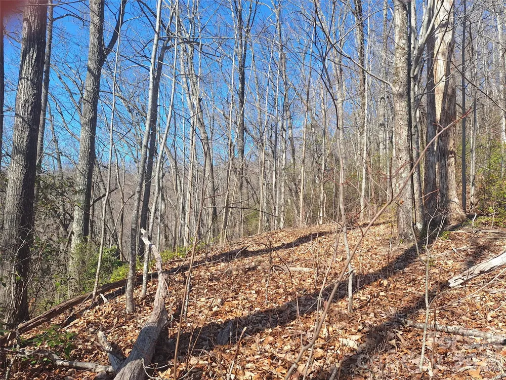 965 Wolf Pen Road Old Fort, NC 28762