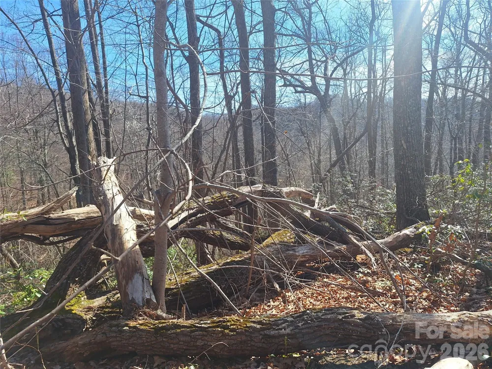 965 Wolf Pen Road Old Fort, NC 28762