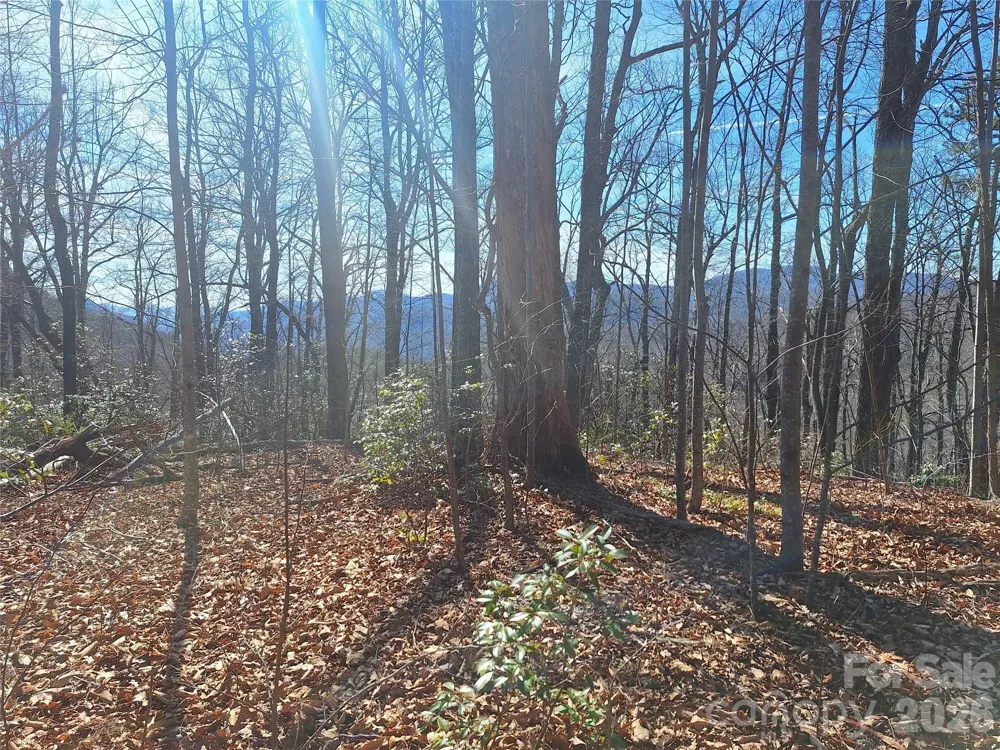 965 Wolf Pen Road Old Fort, NC 28762