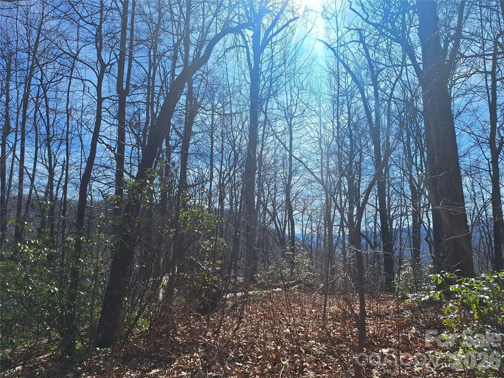 965 Wolf Pen Road Old Fort, NC 28762