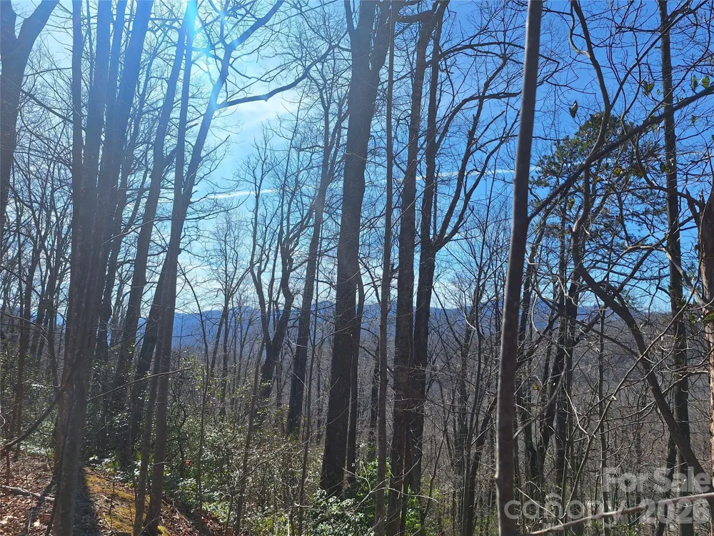 965 Wolf Pen Road Old Fort, NC 28762