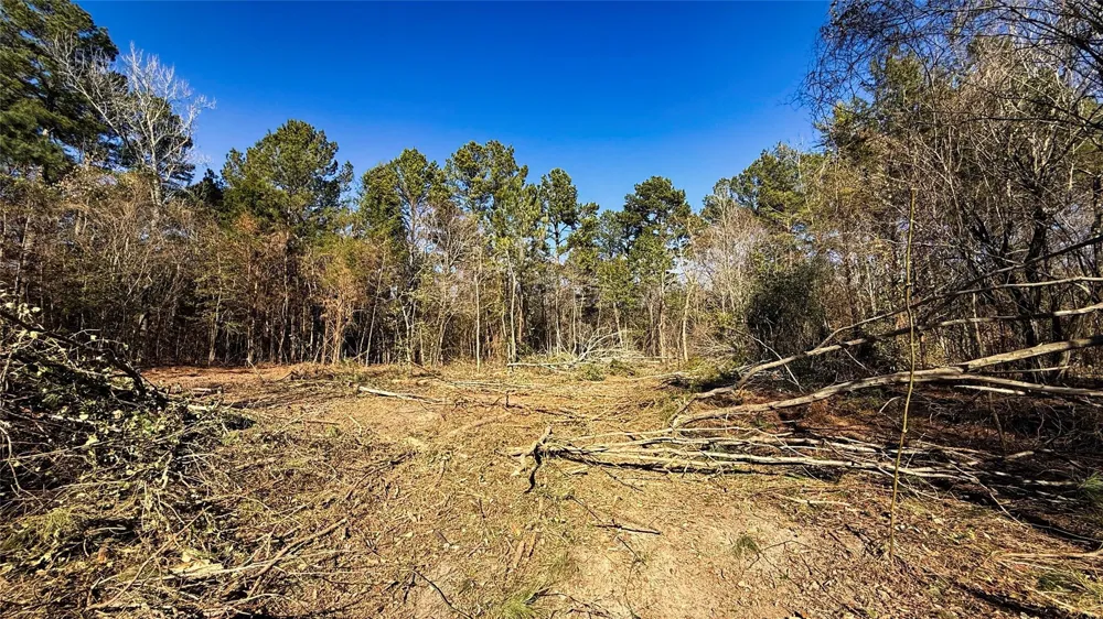 15 County Road 475a Henderson, TX 75654