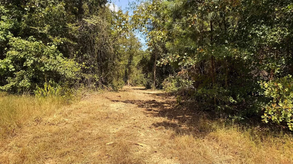 15 County Road 475a Henderson, TX 75654