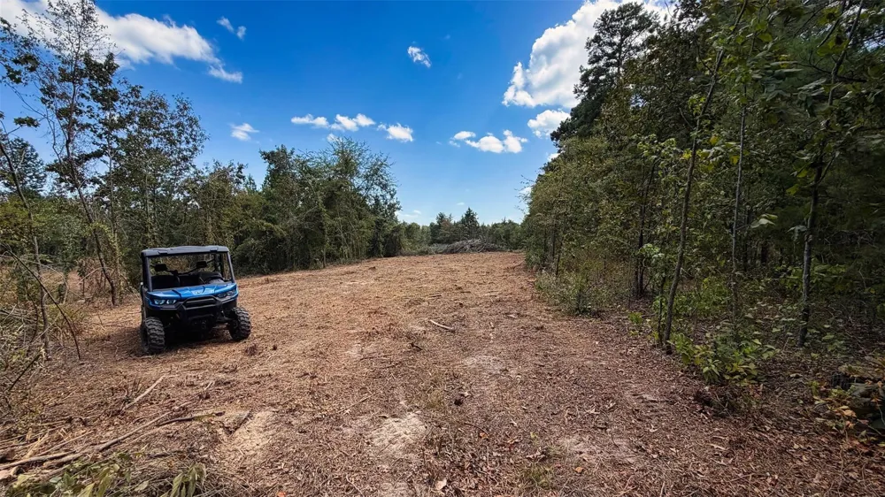15 County Road 475a Henderson, TX 75654