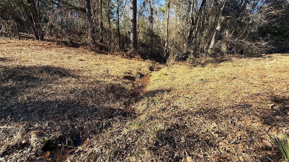 15 County Road 475a Henderson, TX 75654