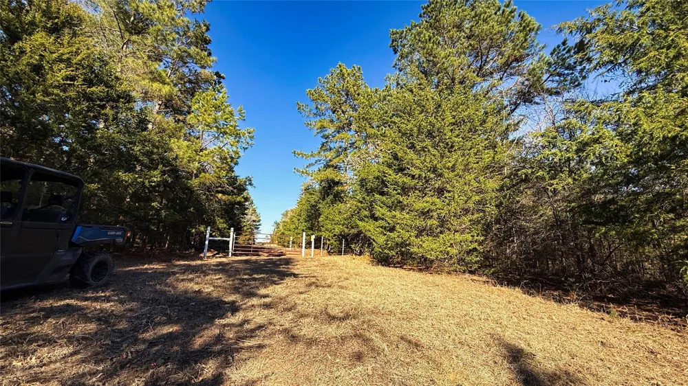 15 County Road 475a Henderson, TX 75654