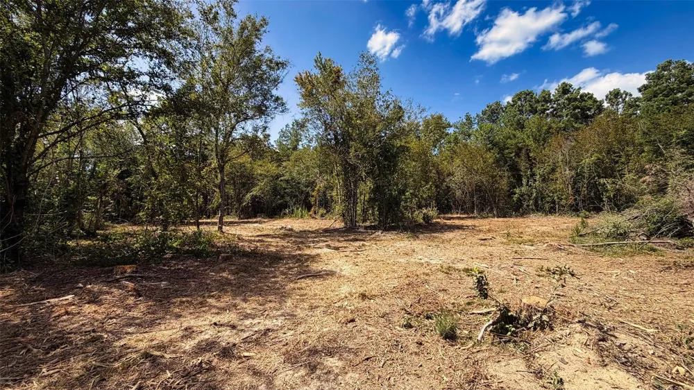 15 County Road 475a Henderson, TX 75654