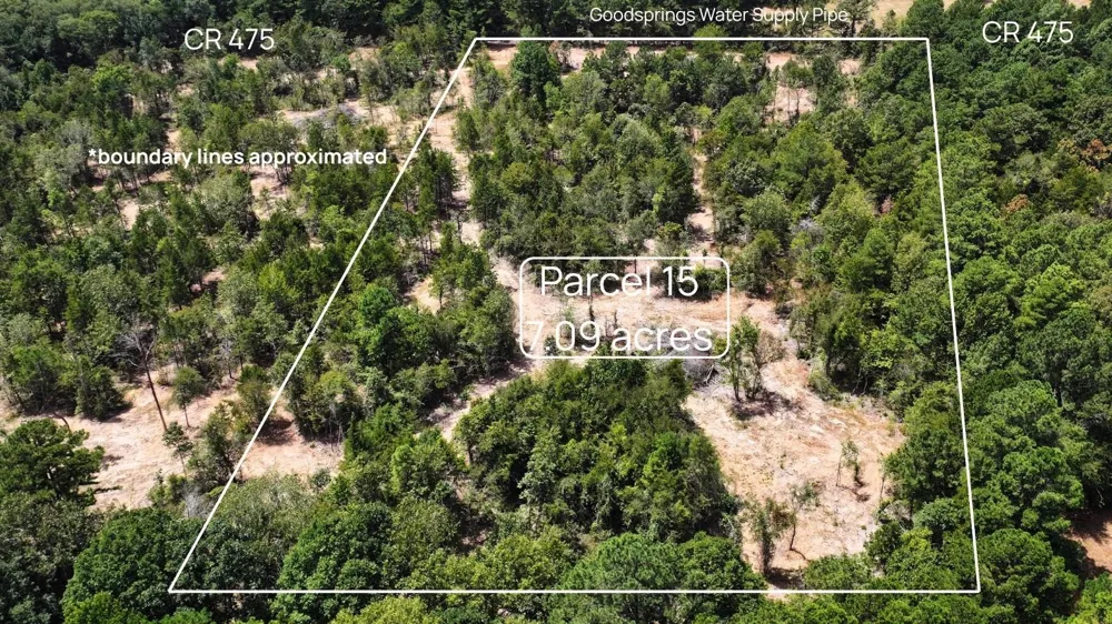 15 County Road 475a Henderson, TX 75654