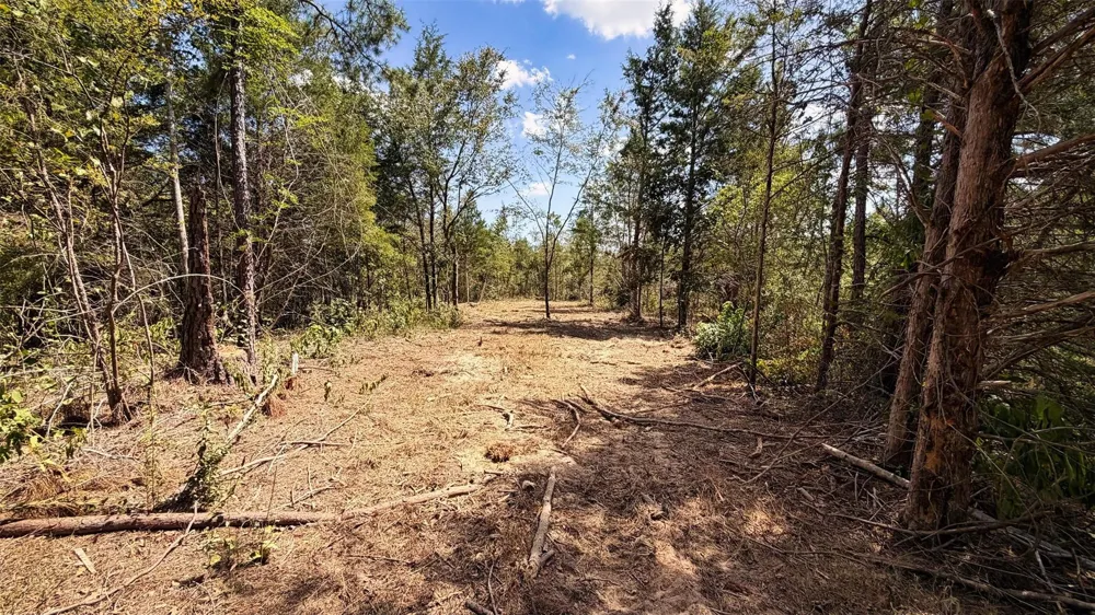 15 County Road 475a Henderson, TX 75654
