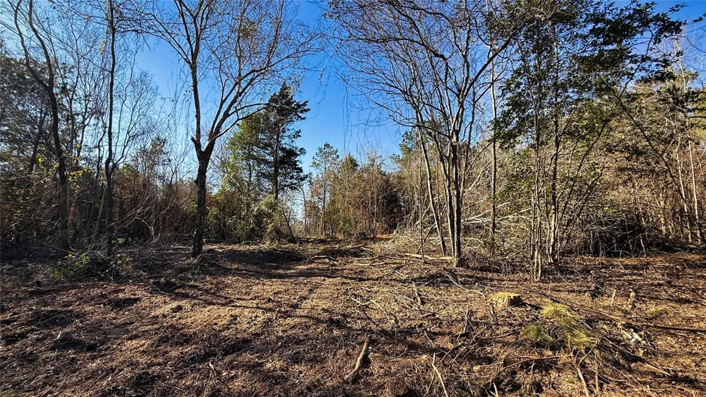 15 County Road 475a Henderson, TX 75654